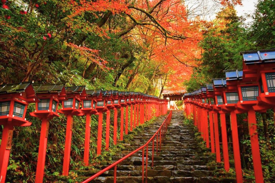 kyoto-autumn