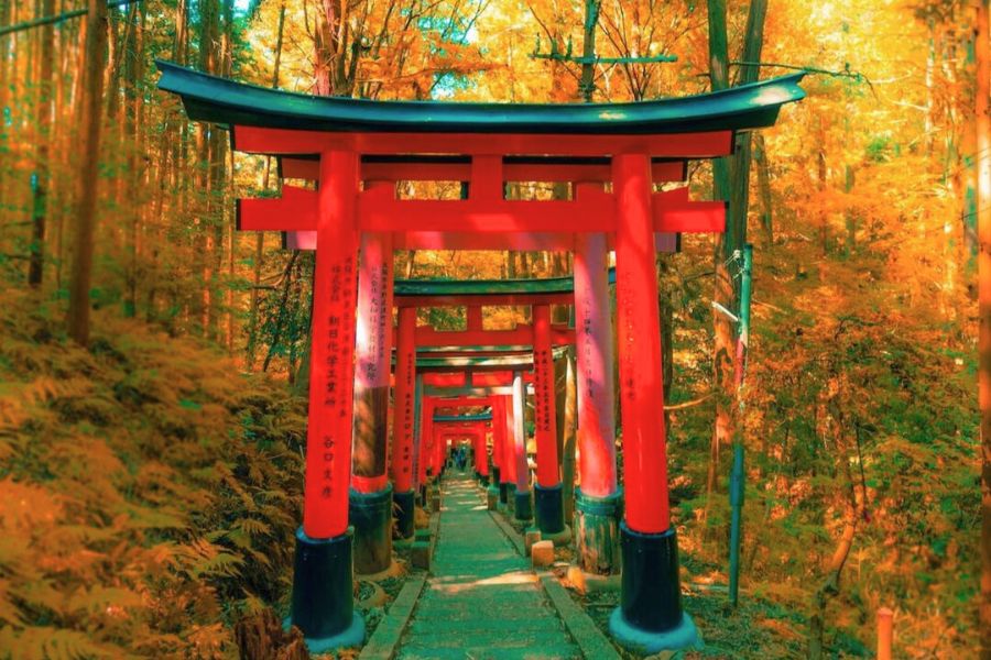 kyoto-autumn