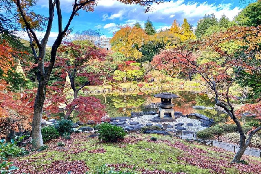 tokyo-autumn