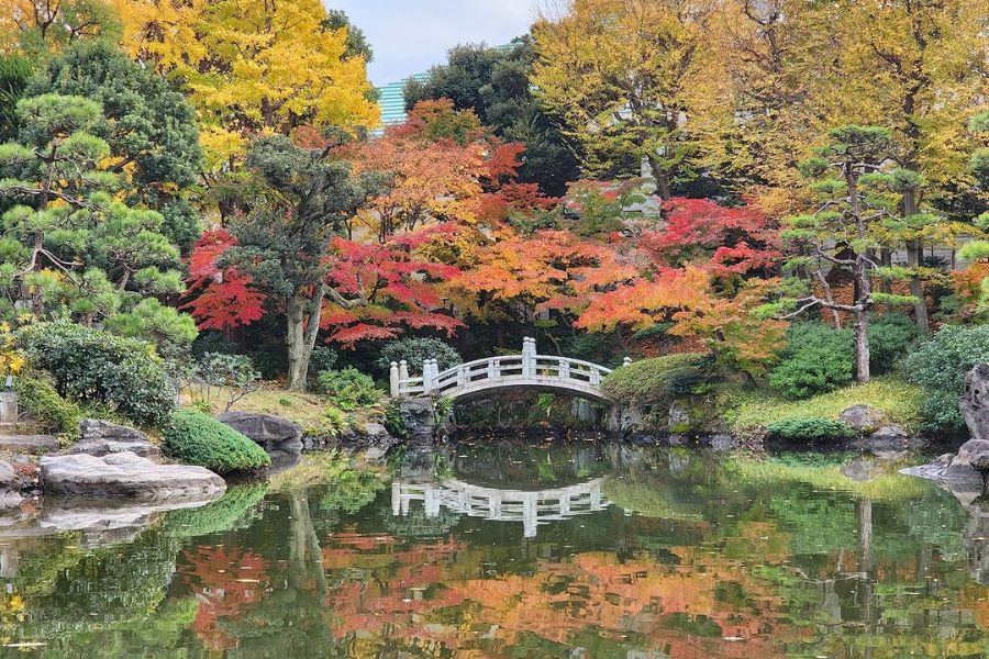tokyo-autumn