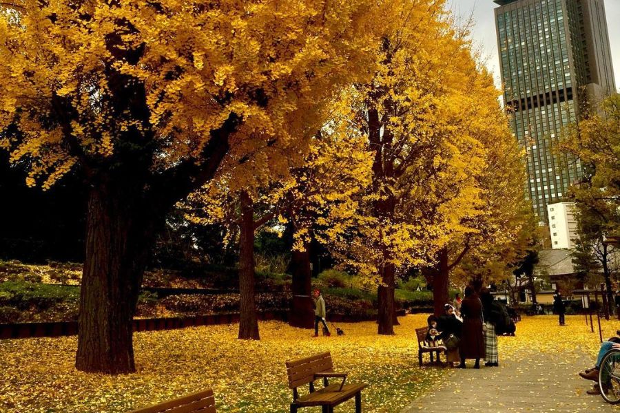 tokyo-autumn