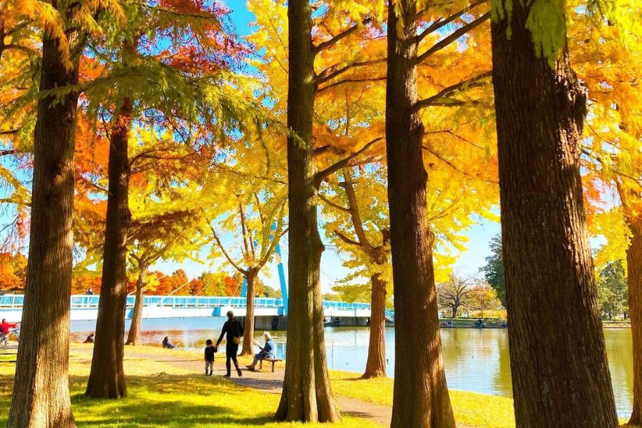 tokyo-autumn