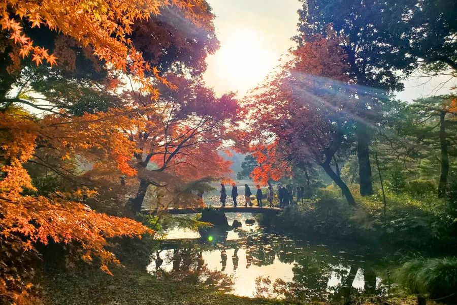 tokyo-autumn
