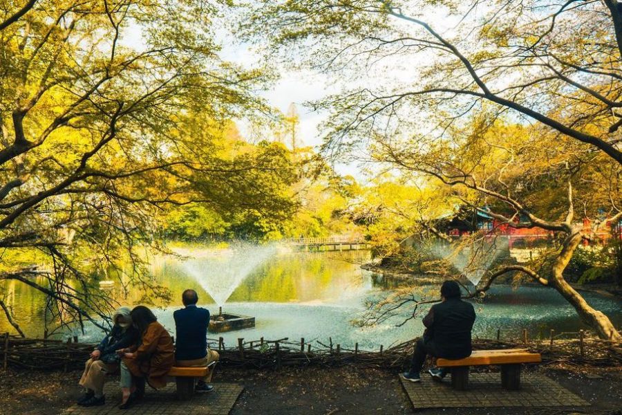 tokyo-autumn