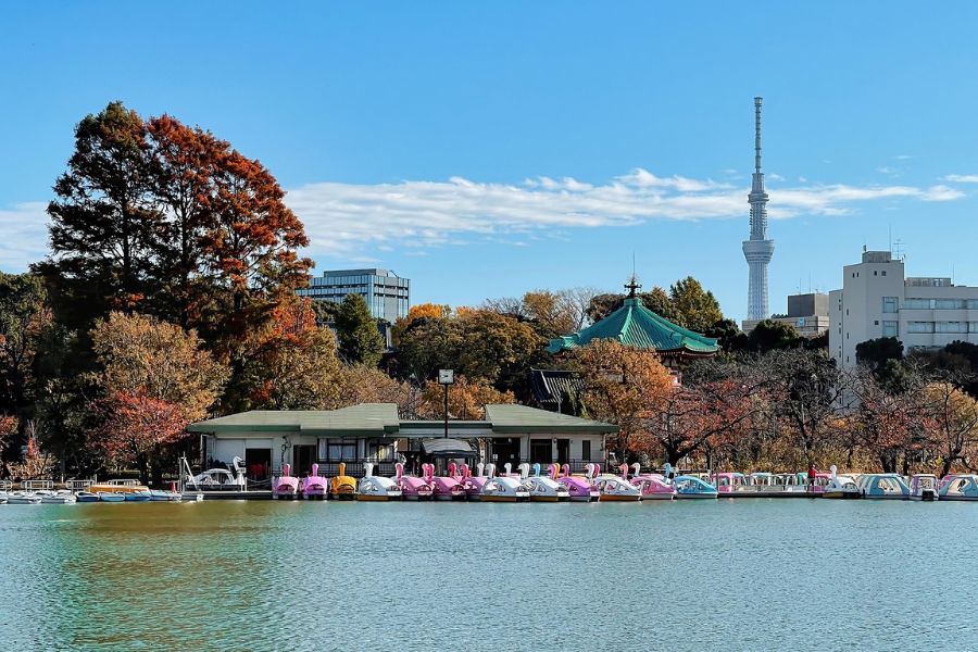 tokyo-autumn