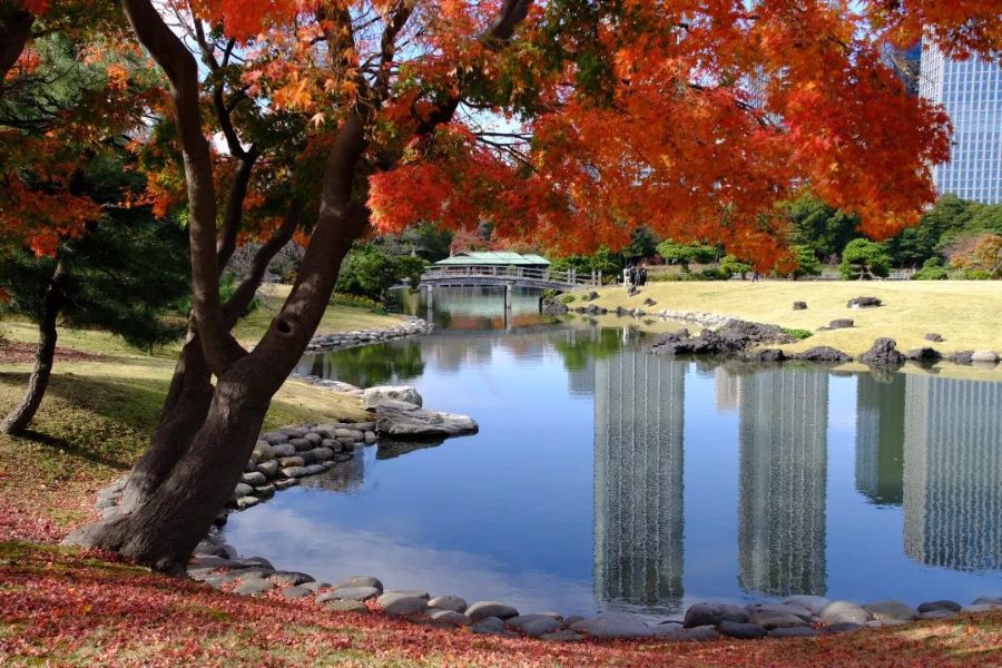 tokyo-autumn