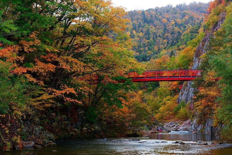 hokkaido-autumn