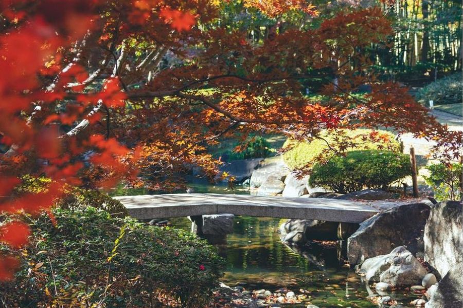 tokyo-autumn