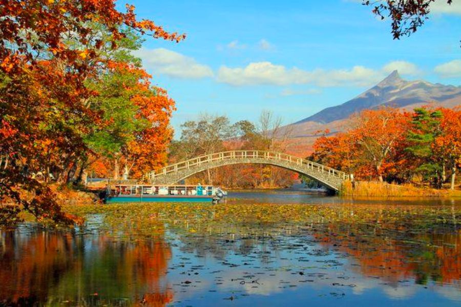 hokkaido-autumn