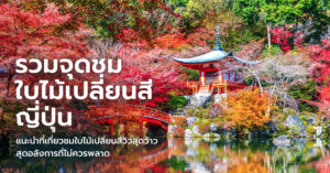 japan-autumn