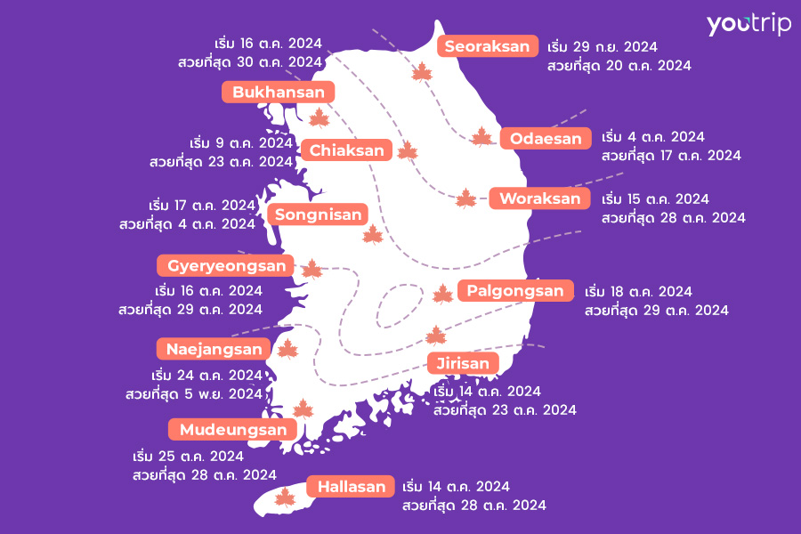 korea-autumn-guide