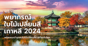 korea-autumn-guide