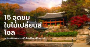 seoul-autumn