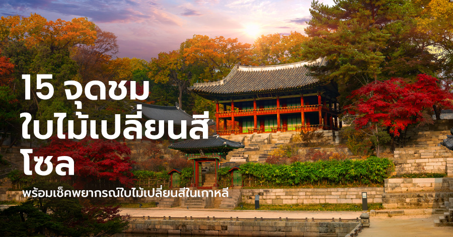 seoul-autumn
