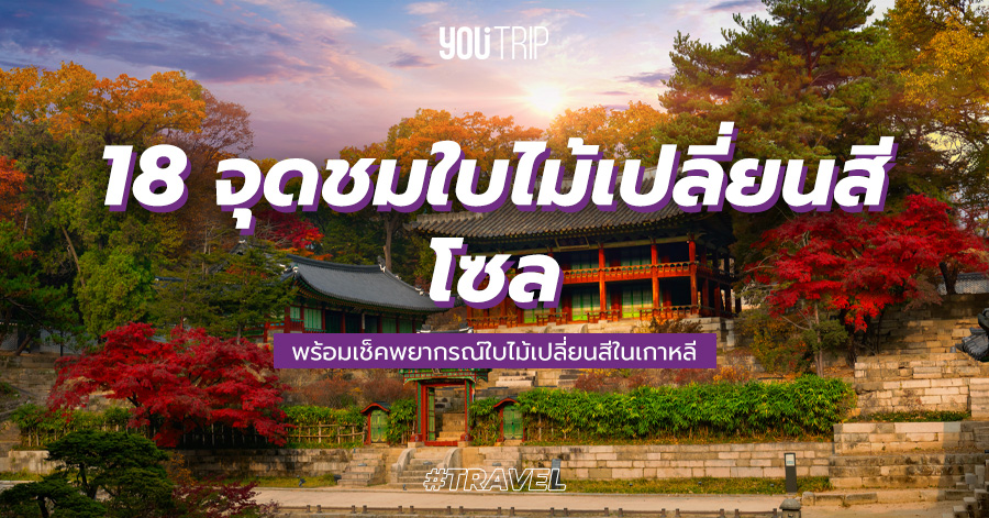 seoul-autumn