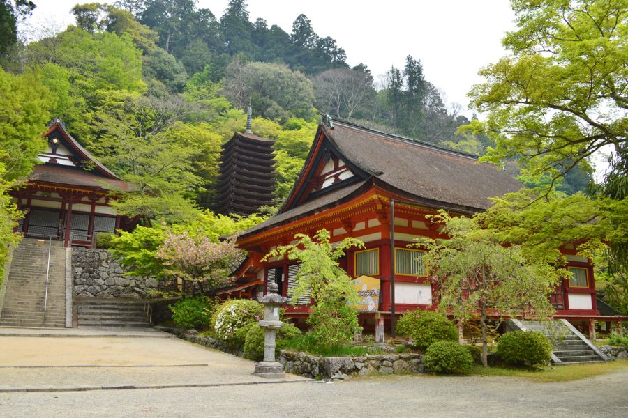 nara-attractions