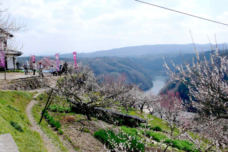nara-attractions