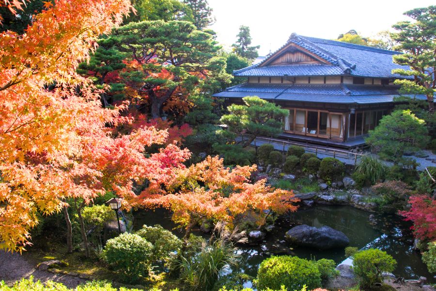 nara-attractions
