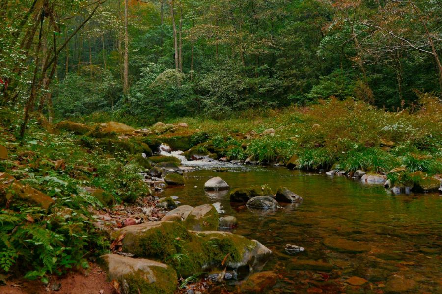 zhangjiajie-attractions