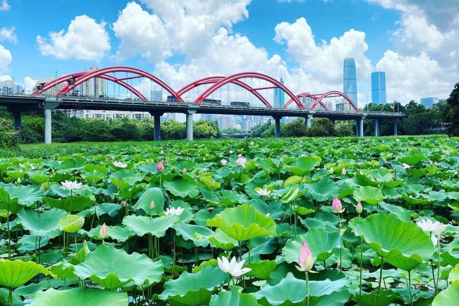 shenzhen-attractions