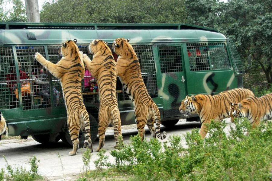 shenzhen-attractions