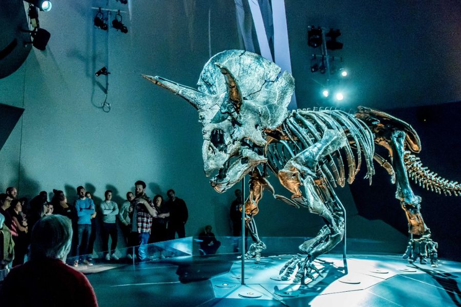 melbourne-attractions