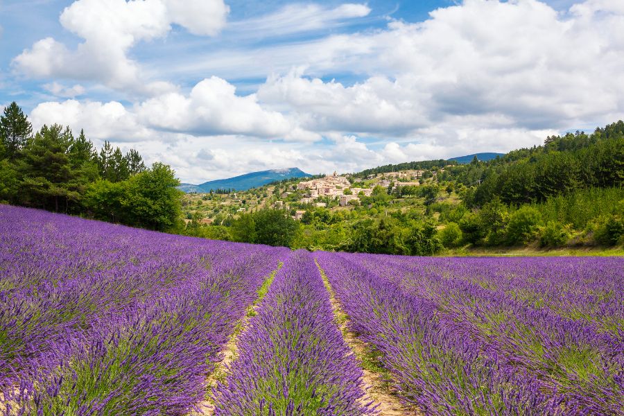 france-attractions