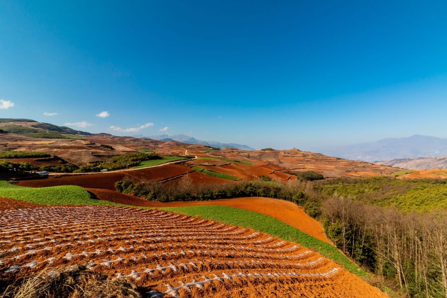 china-autumn