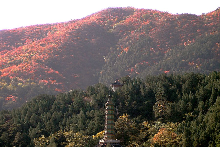 china-autumn