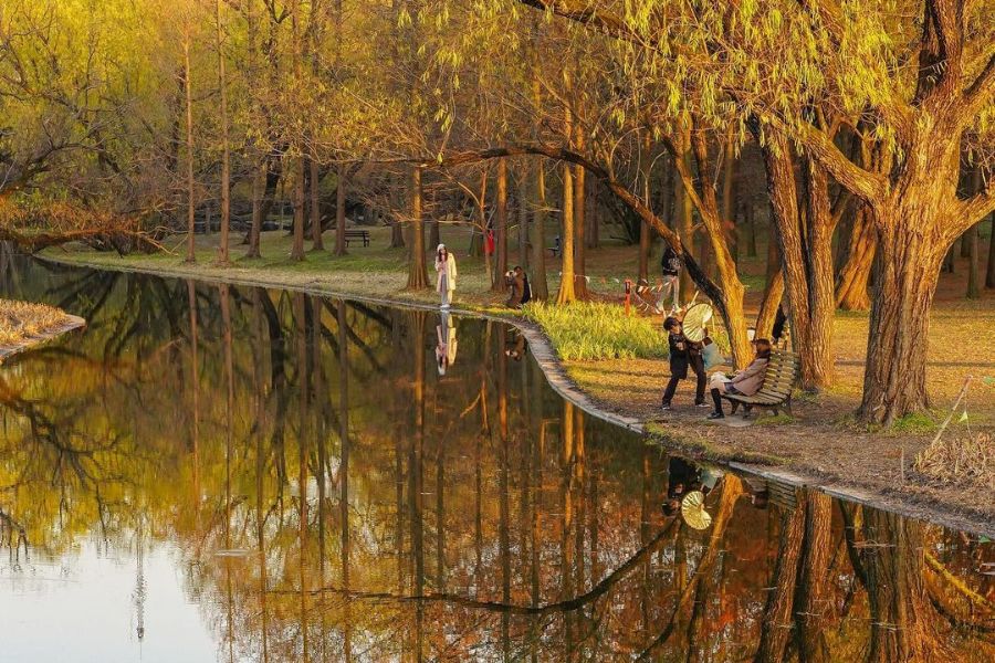 china-autumn