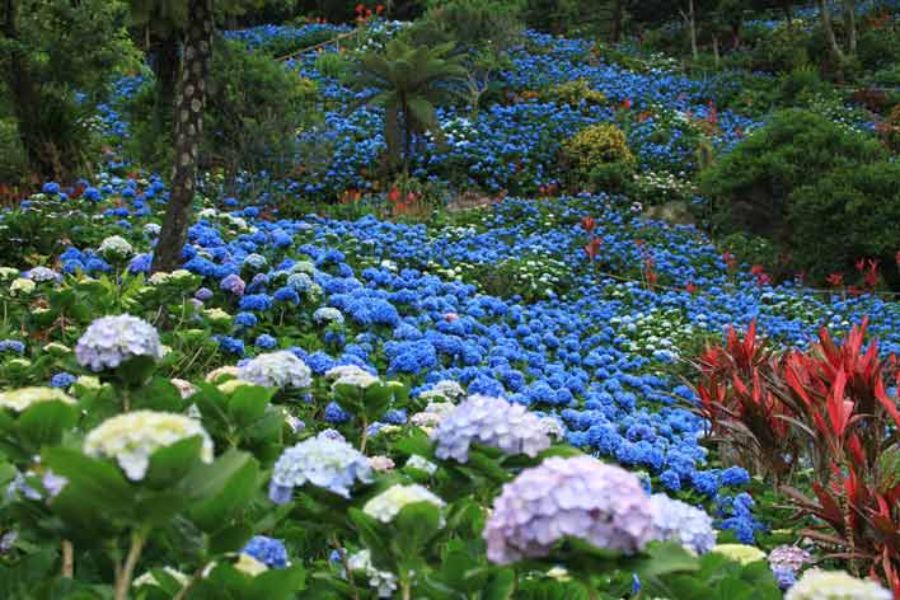 okinawa-attractions