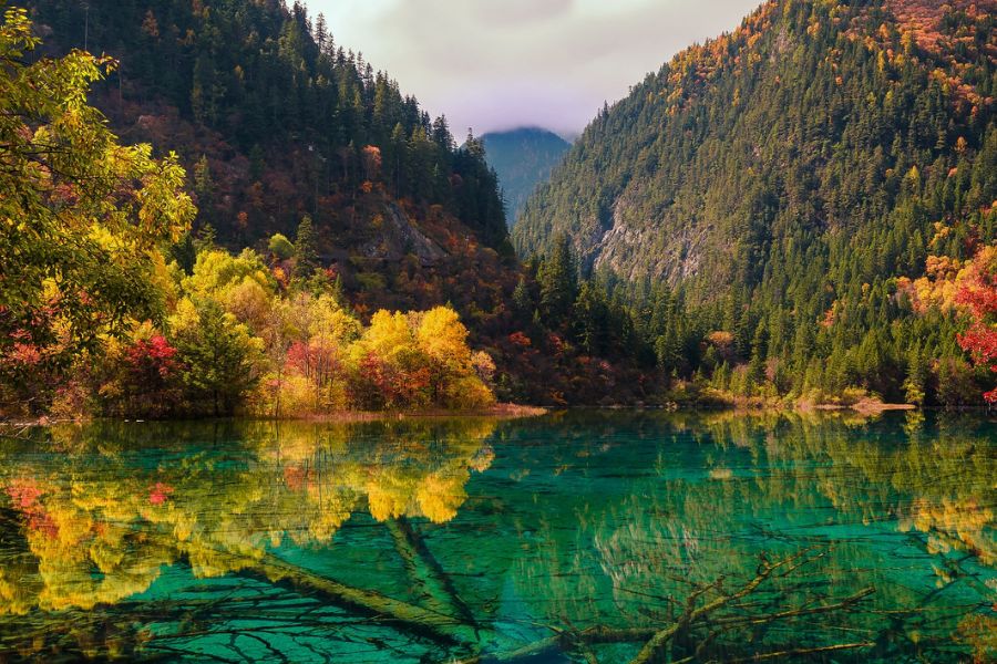 china-autumn