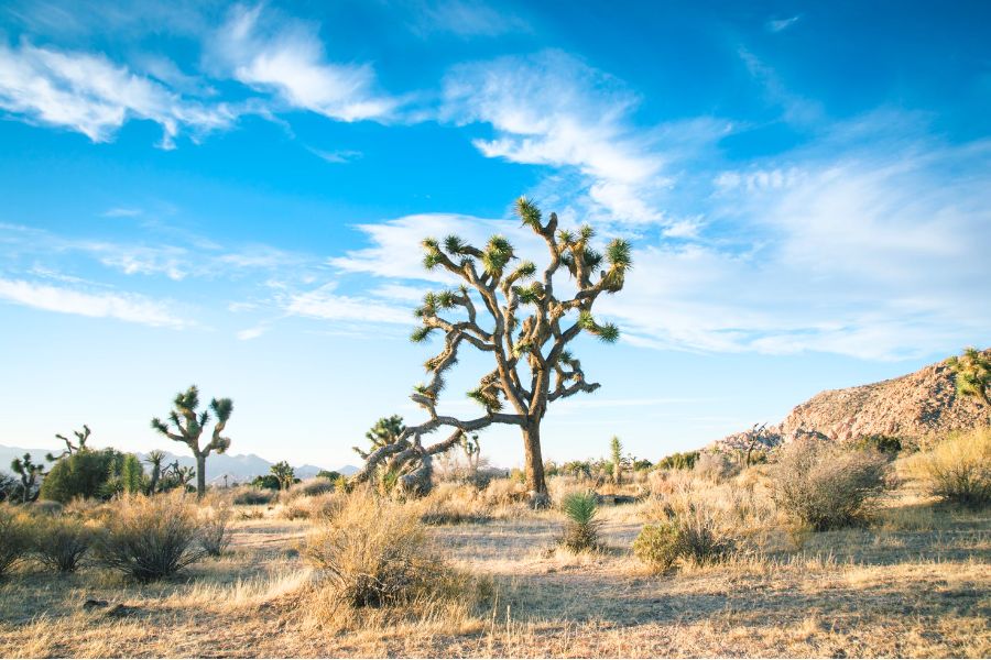 usa-attractions