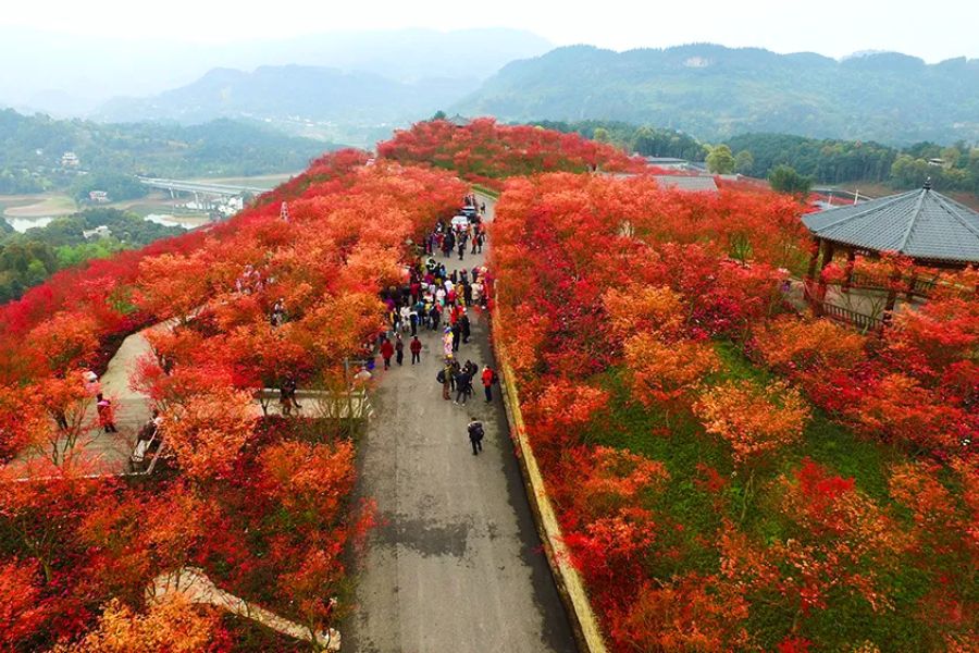 china-autumn