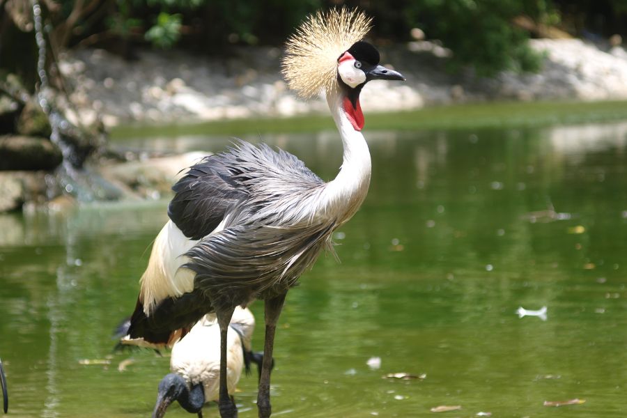okinawa-attractions