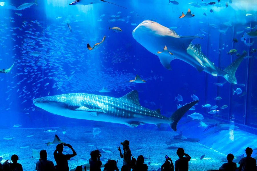 okinawa-attractions