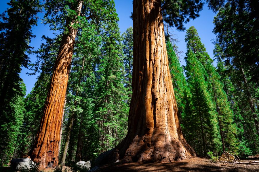 usa-attractions