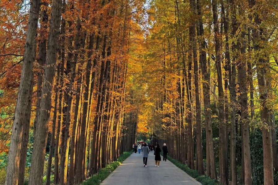 china-autumn