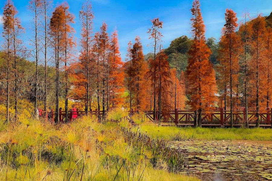 china-autumn