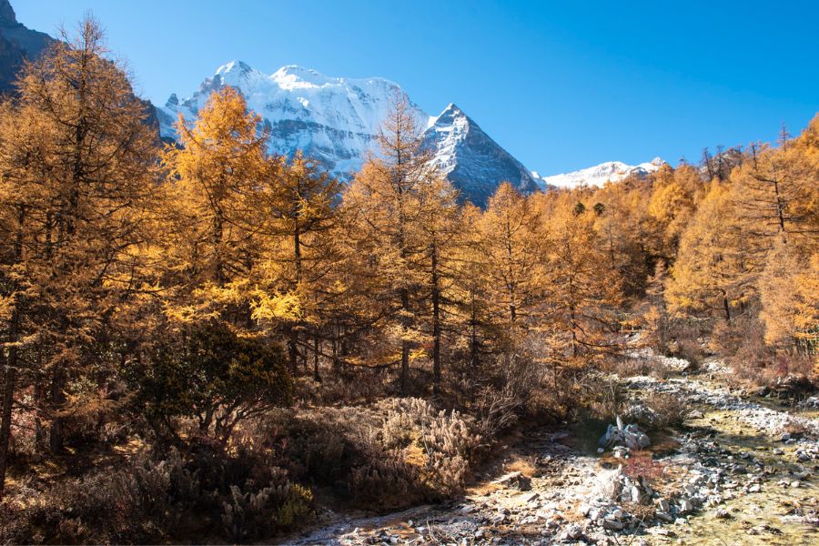 china-autumn