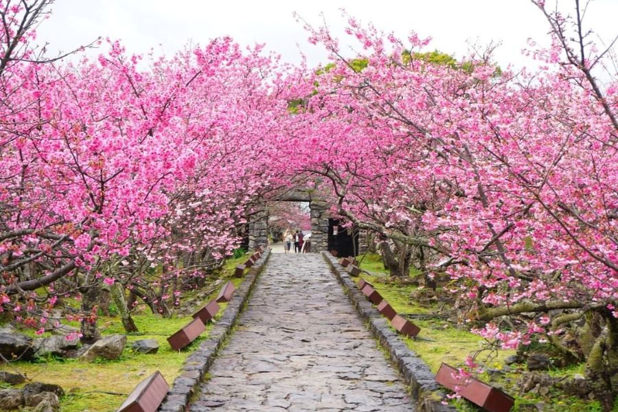 okinawa-attractions