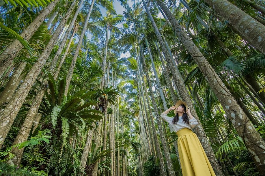 okinawa-attractions