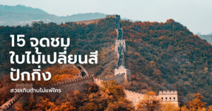 beijing-autumn