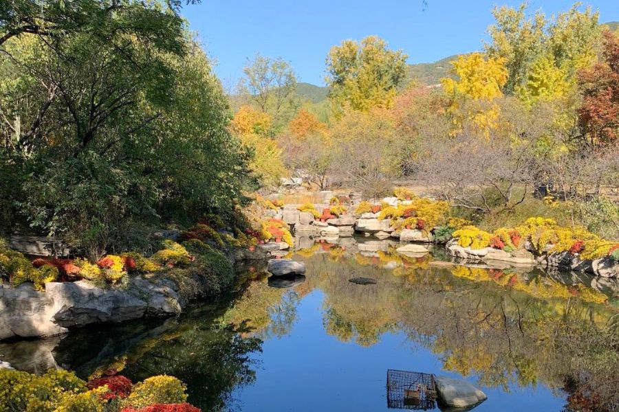 beijing-autumn