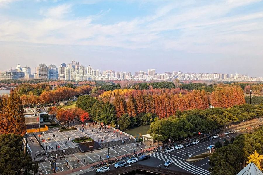 shanghai-autumn