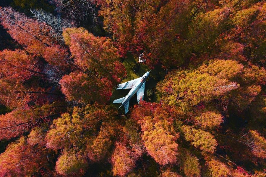 shanghai-autumn