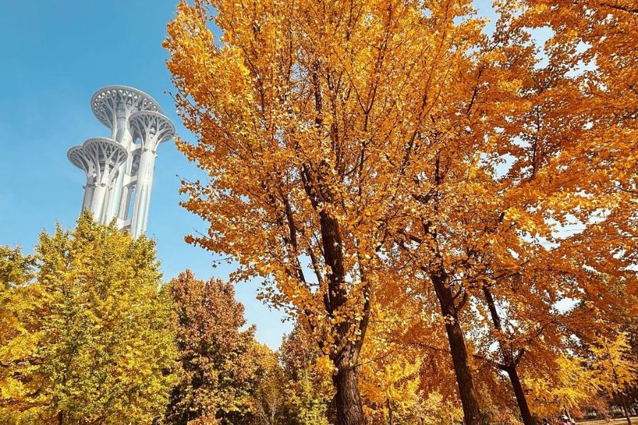 beijing-autumn