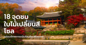 seoul-autumn