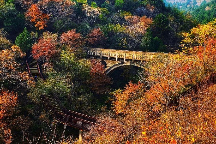 beijing-autumn