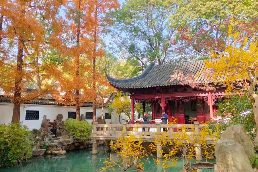 shanghai-autumn